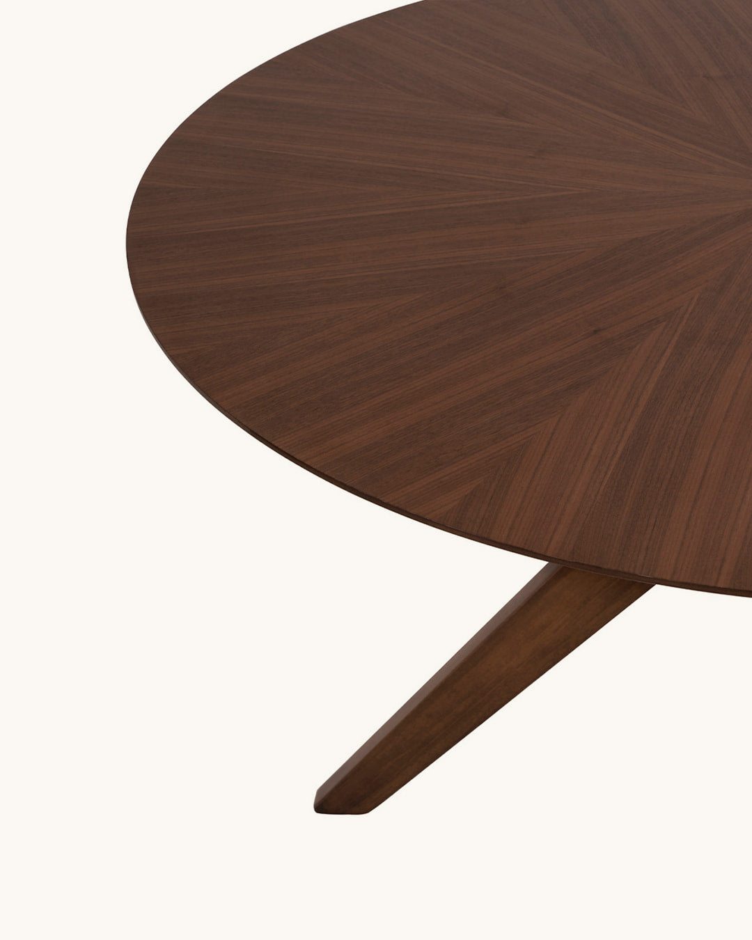 Jana // Nogueira 100