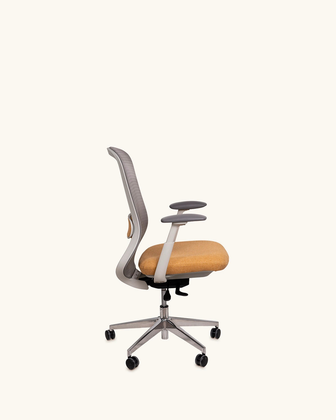 Alexander // Mostaza