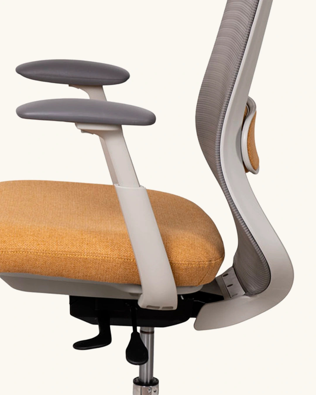 Alexander // Mostaza