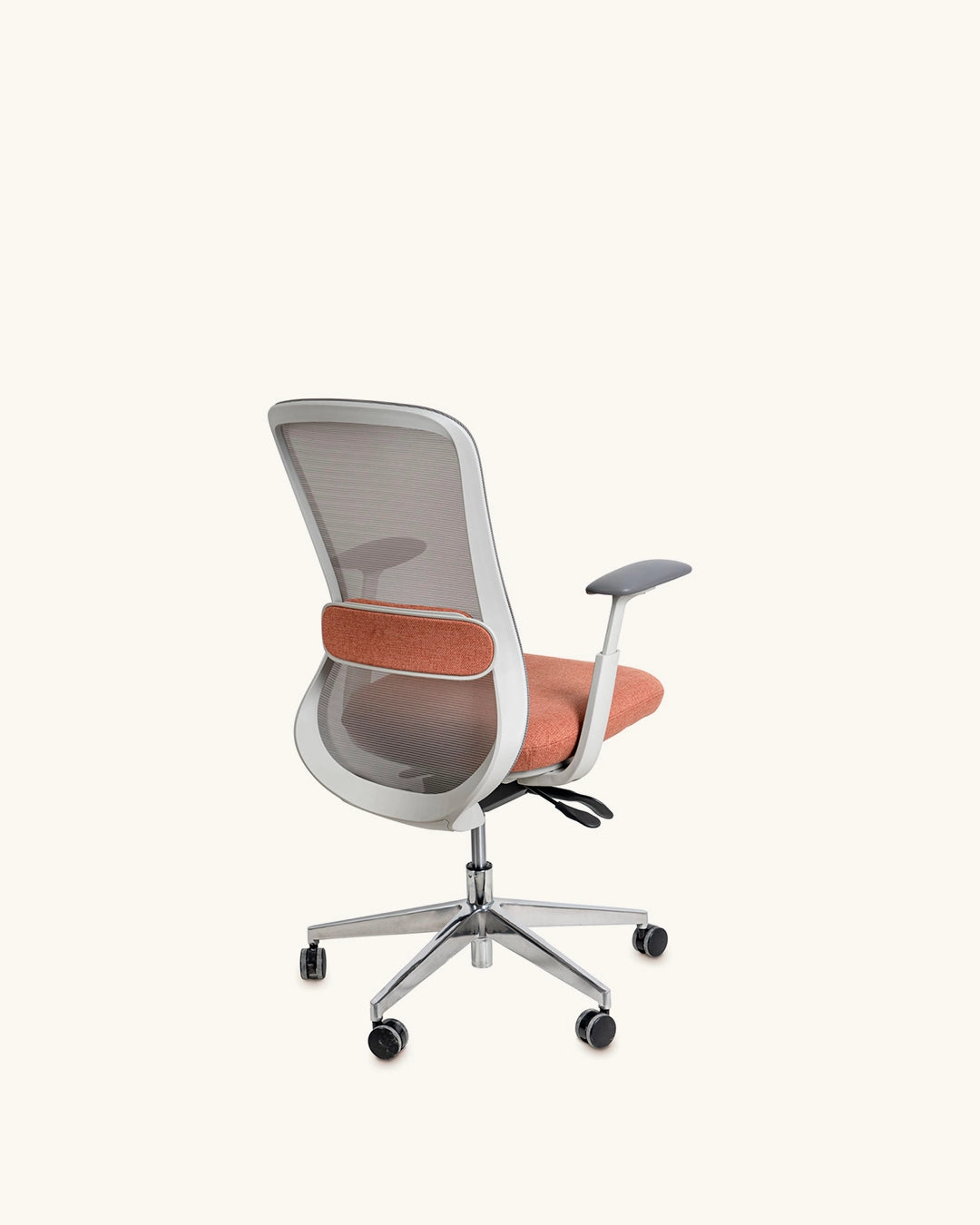 Alexander // Terracota