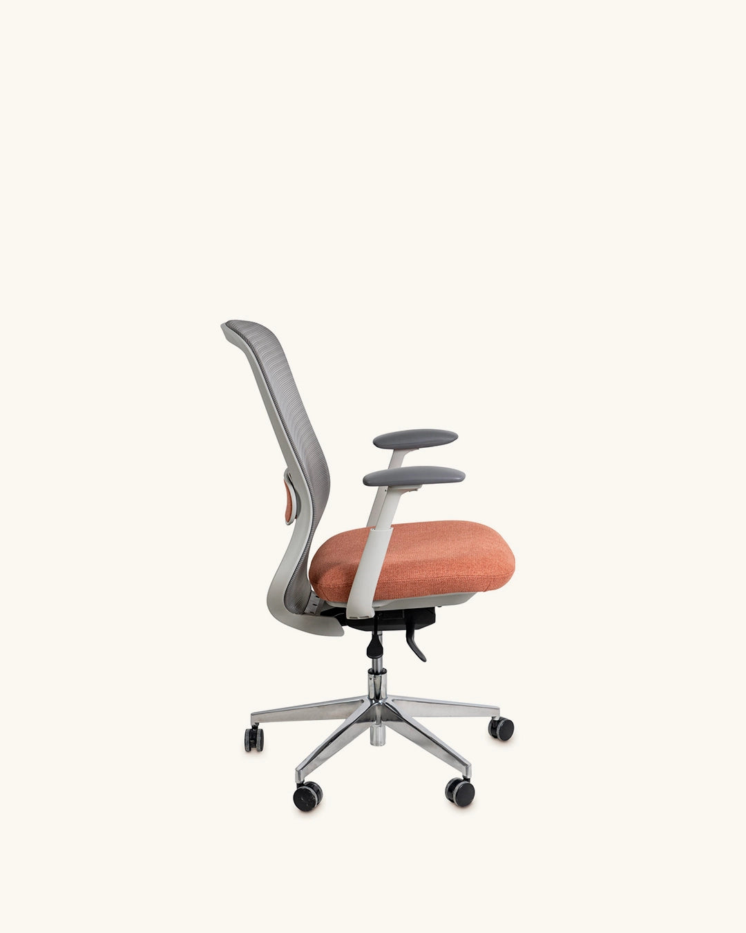 Alexander // Terracota