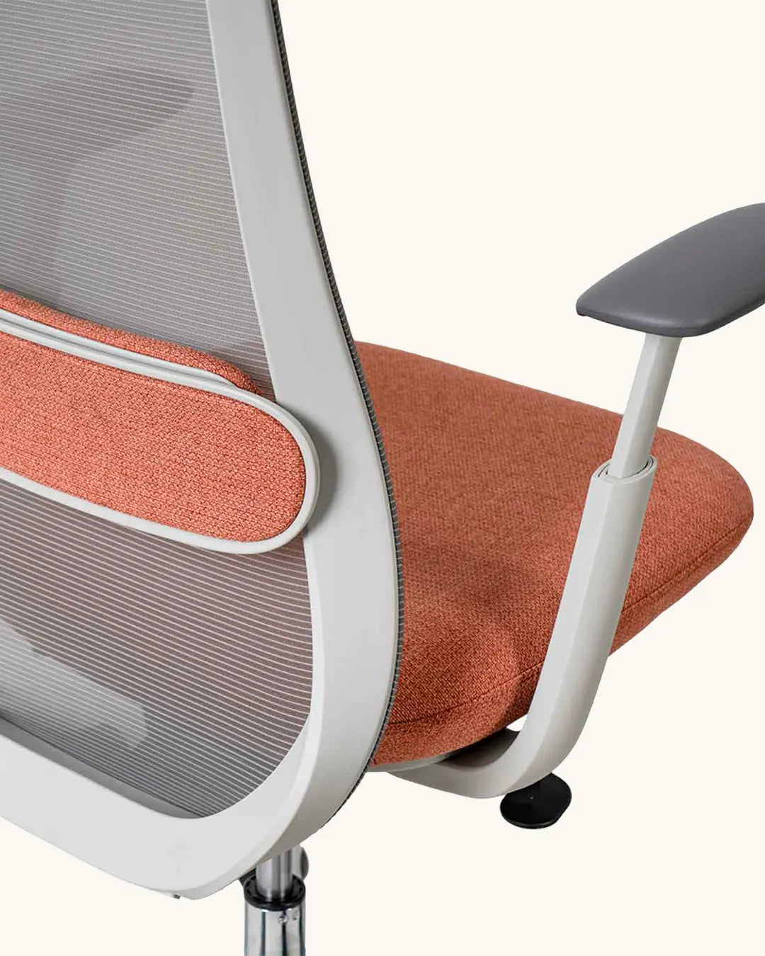 Alexander // Terracota