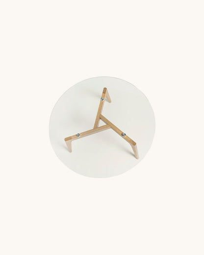 Udang