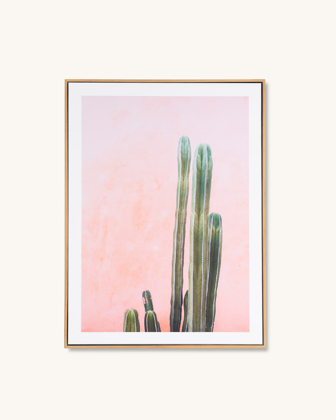 Pintura de plantas peruanas