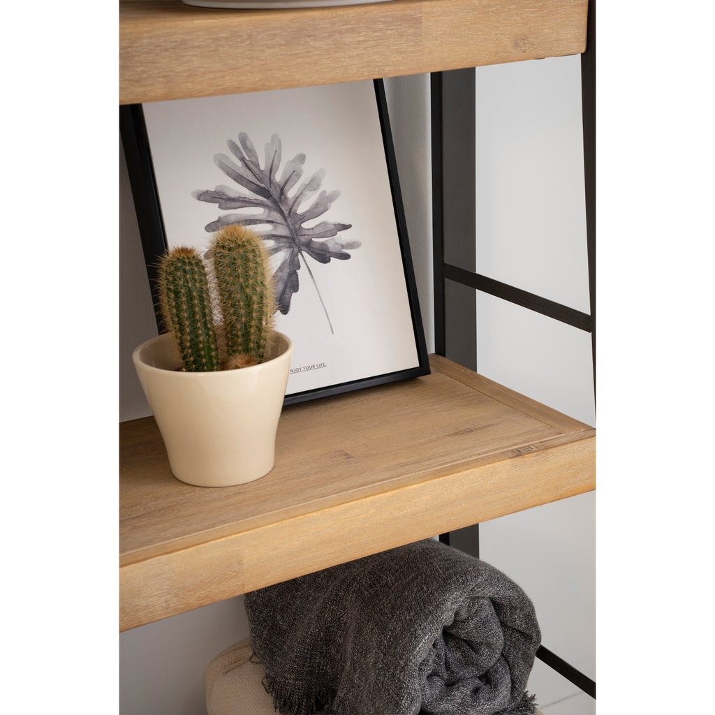 Cuadro planta Grey fern marco negro - Fotografía de exposición