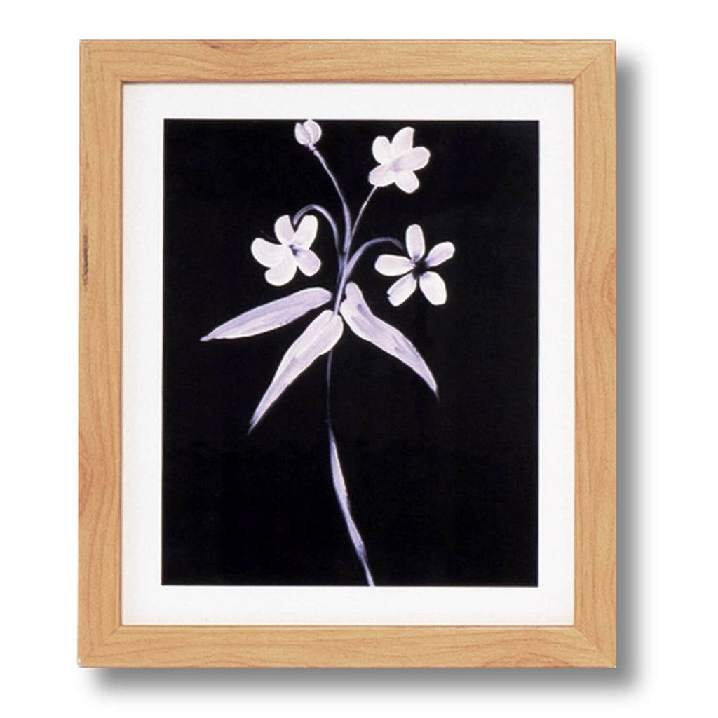 Cuadro flores Black flower marco roble - Vista frontal