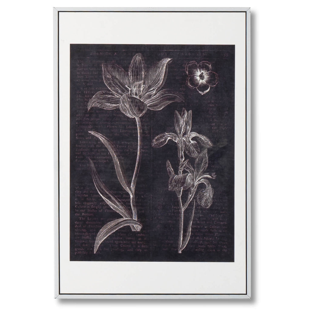 Cuadro flores Black plants marco blanco - Vista frontal