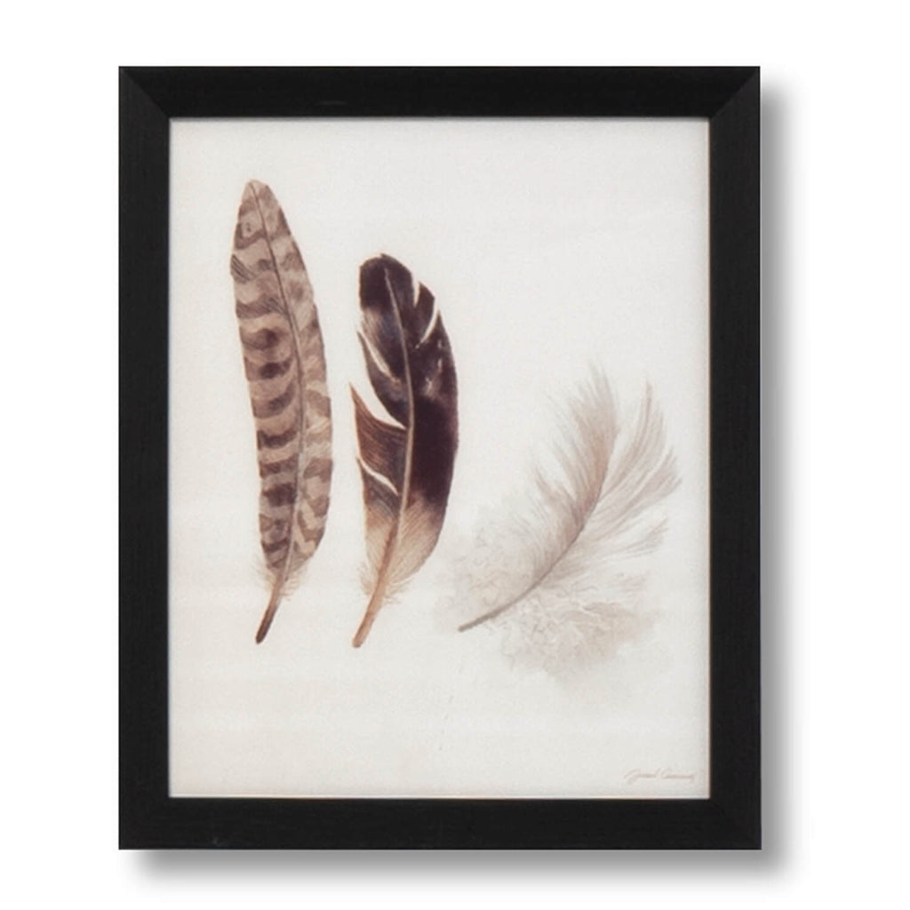 Cuadro vintage Faced feathers marco negro - Vista frontal