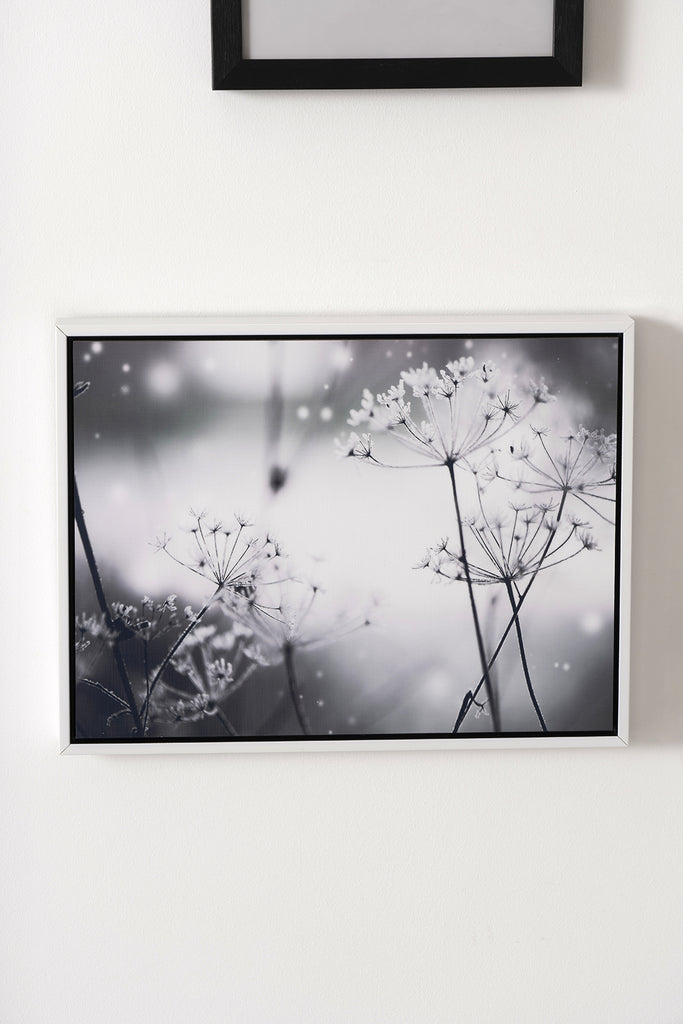Cuadro foto Soft dindelion marco blanco - Vista frontal fotografía de ambiente